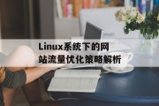 Linux系统下的网站流量优化策略解析 Linux系统下的网站流量优化策略解析