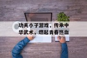 功夫小子游戏，传承中华武术，燃起青春热血