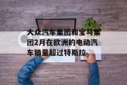 大众汽车集团和宝马集团2月在欧洲的电动汽车销量超过特斯拉
