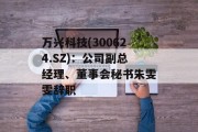 万兴科技(300624.SZ)：公司副总经理、董事会秘书朱雯雯辞职
