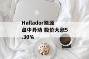 Hallador能源盘中异动 股价大涨5.30%