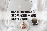 深入解析Net域名在SEO网站建设中的应用与优化策略