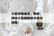 小偷攻略通关，揭秘，神秘小偷破解新手通关秘籍！