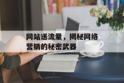 网站送流量，揭秘网络营销的秘密武器