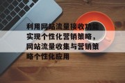 利用网站流量接收功能实现个性化营销策略，网站流量收集与营销策略个性化应用