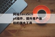 网站JavaScript插件，提升用户体验的强大工具