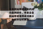 丰县网站搭建企业的成功案例研究，丰县企业网站搭建案例成功展示，电商转型的典范