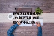 欧元区12月失业率6.3%持平预期 四季度GDP不及预期