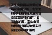 寄生虫做网站流量的策略及案例分析，寄生虫如何利用网站流量实现自我复制和扩展?，自复制/扩展，寄生虫是如何通过网站流量实现自我复制和扩展的