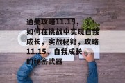 通关攻略11.15，如何在挑战中实现自我成长，实战秘籍，攻略11.15，自我成长的秘密武器