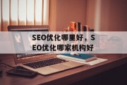 SEO优化哪里好，SEO优化哪家机构好