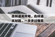 森林通关攻略，森林通关秘籍，一步步过难关