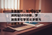 全面解析，如何进行罗湖网站SEO诊断，罗湖搜索引擎优化步骤与诊断方法