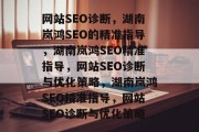 网站SEO诊断，湖南岚鸿SEO的精准指导，湖南岚鸿SEO精准指导，网站SEO诊断与优化策略，湖南岚鸿SEO精准指导，网站SEO诊断与优化策略