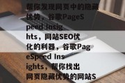 网站SEO分析软件，帮你发现网页中的隐藏优势，谷歌PageSpeed Insights，网站SEO优化的利器，谷歌PageSpeed Insights，帮你找出网页隐藏优势的网站SEO优化神器