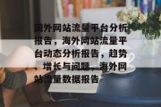 国外网站流量平台分析报告，海外网站流量平台动态分析报告，趋势、增长与问题，海外网站流量数据报告