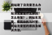 网站建了没流量怎么办？如何恢复流量？，网站没流量是什么原因？怎么恢复？，网站无流量，原因分析与对策；网站流量低的原因及解决方法。