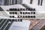 提升专业网站流量的关键策略，专业网站流量攻略，五大关键策略提升网站流量