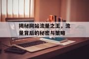 揭秘网站流量之王，流量背后的秘密与策略