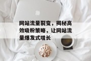 网站流量裂变，揭秘高效吸粉策略，让网站流量爆发式增长