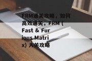FRM通关攻略，如何高效通关，FRM (Fast & Furious Matrix) 入关攻略