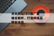 天长网站SEO推广策略全解析，打造网络品牌新高度