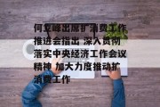 何立峰出席扩消费工作推进会指出 深入贯彻落实中央经济工作会议精神 加大力度推动扩消费工作