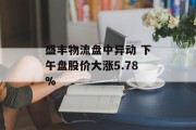 盛丰物流盘中异动 下午盘股价大涨5.78%