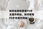 如何选择和使用PS中文插件网站，如何使用PS中文插件网站？