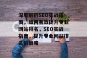 深度解析SEO实战指南，如何有效提升专业网站排名，SEO实战指南，提升专业网站排名的策略