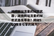 湖南网站流量的秘密武器,湖南网站流量的秘密武器有哪些?揭秘SEO搜索引擎的威力! 湖南网站流量的秘密武器,湖南网站流量的秘密武器有哪些?揭秘SEO搜索引擎的威力!