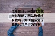 流量统计，网站的流量增长策略，网站流量增长策略，如何精准定位和优化用户行为数据