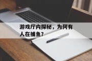 游戏厅内探秘，为何有人在捕鱼？