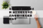 花旗：由于供应严重过剩 油价到明年年中恐迈向每桶60美元或更低水平