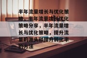 半年流量增长与优化策略，半年流量增长优化策略分享，半年流量增长与优化策略，提升流量的源头和提升转化率的方法