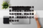 网站流量爆发，网站流量突然猛增，原因解析与应对策略，网站流量暴增，原因解析与应对策略分析