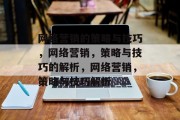 网络营销的策略与技巧,网络营销,策略与技巧的解析,网络营销,策略与技巧解析
