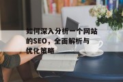 如何深入分析一个网站的SEO，全面解析与优化策略