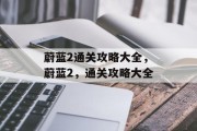 蔚蓝2通关攻略大全,蔚蓝2,通关攻略大全