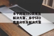 阜宁网站SEO费用及解决方案，阜宁SEO费用分析及解决方案