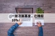 一批次新基金，已赚超10%！
