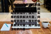 探索网站报表插件的强大功能和应用案例，网站报表插件，强大、实用的报表解决方案，网站报表插件，强大的报表解决方案，用户体验优化的力量
