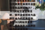 365网站流量系统，如何利用它来提升企业效率和品牌影响力？，365网站流量管理系统，提升企业效率与品牌影响力的实用指南，企业365网站流量系统，提升效率与品牌影响力的实用指南