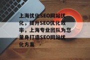 上海优化SEO网站优化，提升SEO优化效率，上海专业团队为您量身打造SEO网站优化方案