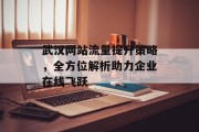 武汉网站流量提升策略，全方位解析助力企业在线飞跃