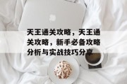 天王通关攻略，天王通关攻略，新手必备攻略分析与实战技巧分享
