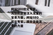 网站SEO优化专家，为你的企业注入流量的宝贵力量，网站SEO优化专家，提升企业流量的力量
