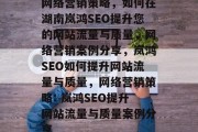 网络营销策略，如何在湖南岚鸿SEO提升您的网站流量与质量，网络营销案例分享，岚鸿SEO如何提升网站流量与质量，网络营销策略: 岚鸿SEO提升网站流量与质量案例分享