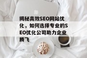 揭秘高效SEO网站优化，如何选择专业的SEO优化公司助力企业腾飞