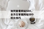 如何查看网站SEO，全方位掌握网站SEO优化技巧